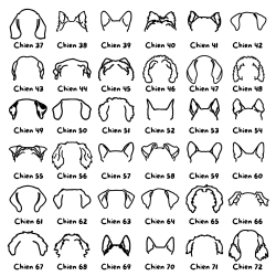 Sweat noir - Oreilles de chien personnalisées