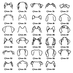 Sweat noir - Oreilles de chien personnalisées
