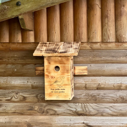 Nichoir à mésanges en bois naturel